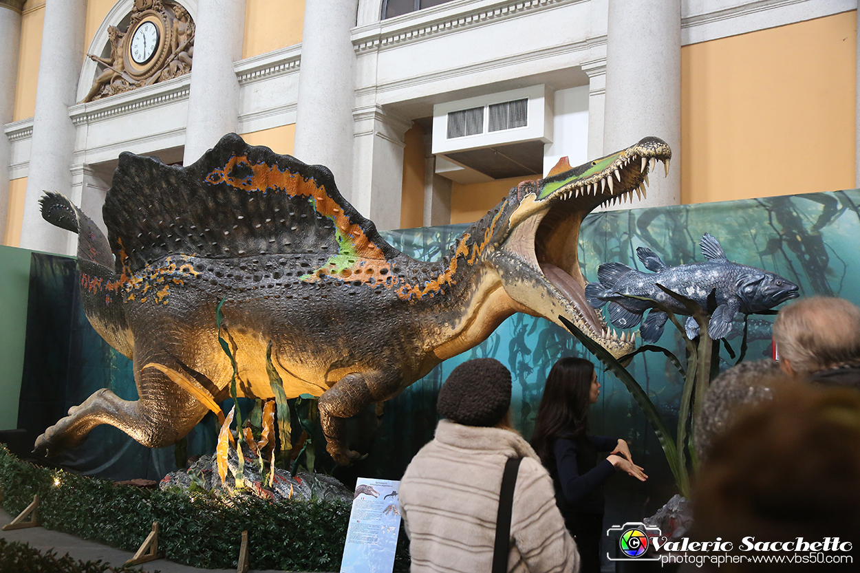 VBS_1036 - Dinosauri. Terra dei giganti.jpg